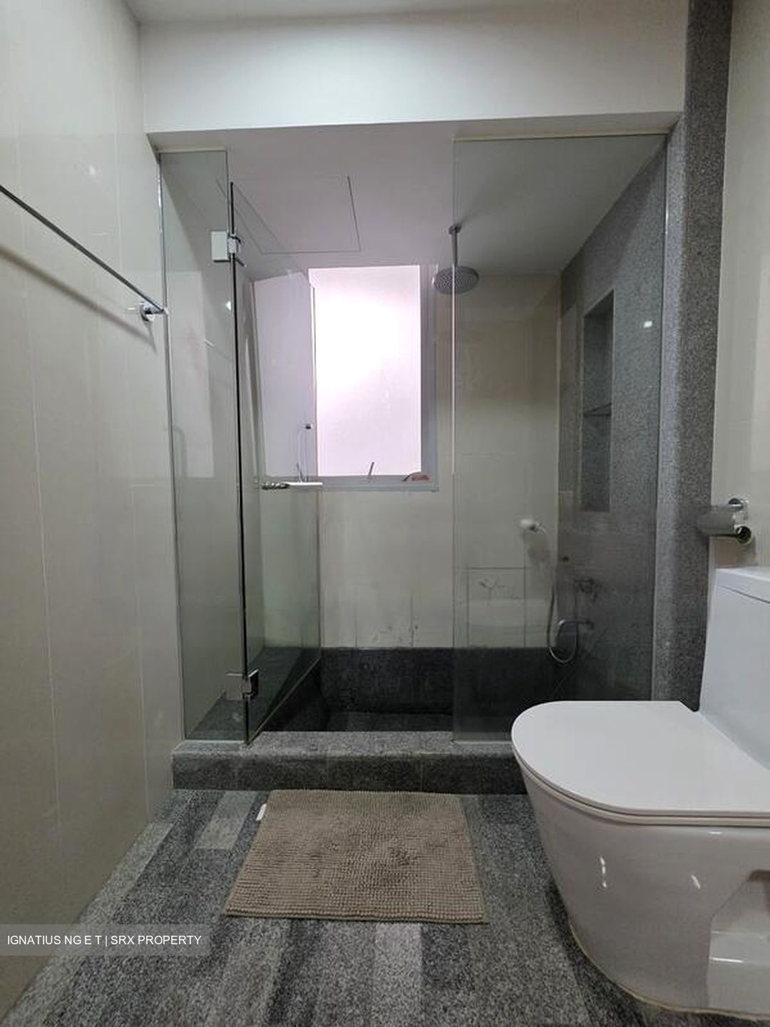 8 @ Mount Sophia (D9), Condominium #575714001